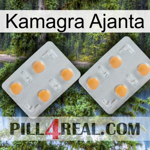 Kamagra Ajanta 25.jpg